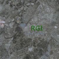 GREY WILLIAM ITALIAN MARBLE