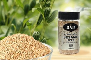 Natural White Sesame Seed