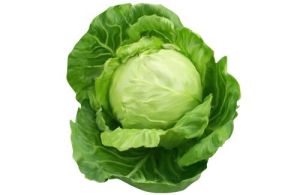 Fresh Cabbage