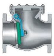 Swing Check Valve