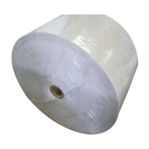 Thermal Paper Jumbo Roll