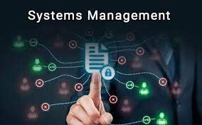 Management System Services