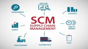 Supply Chain Management Courses