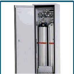 Gas Cylinder Cabinets