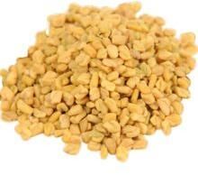 Fenugreek Seed