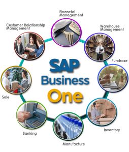SAP Business One support