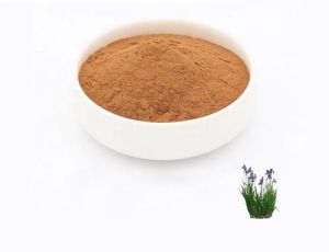 Calamus Extract Powder