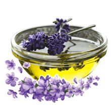 Lavender Essential Oil