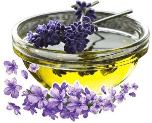 Lavender Oil