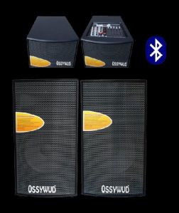 Ossywud OS 15X1K BT MUF MIC DJ SPEAKER