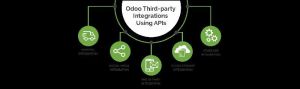 Odoo Third-Party Integration Services