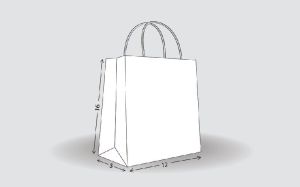 White Top Linear Shopping Bag Size - L16