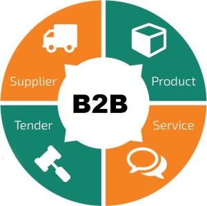 B2B Website Development Services