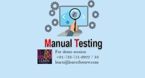 Manual Testing Online Training Services