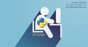 Python Training Services