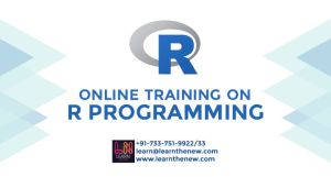 R Programming Online Training Services
