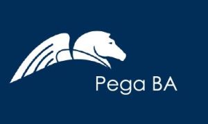 PEGA BA Certification Training Course