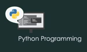 Python Programming Training Course