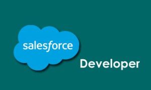 Salesforce Developer Training Course