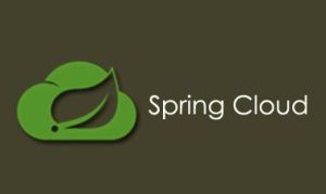 Spring Cloud Online Training Course