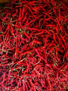 Dried Red Chili