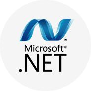 asp.net web development services