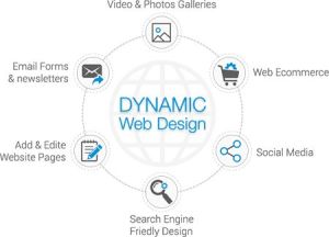 dynamic website design services
