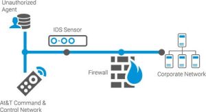 Fraud Detection and Prevention Services