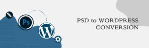 PSD To Wordpress Conversion Services