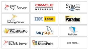 Database Recovery & File Repair Services