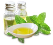 menthol essential oil