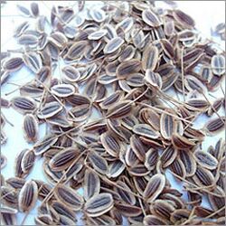 Dill Seed Oil