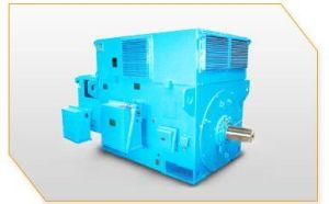 High Voltage Motor