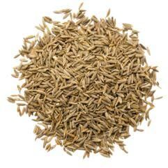 Cumin Seed