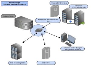 lan networking services