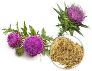 Silybum Marianum Extract