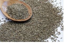 Cumin Seed