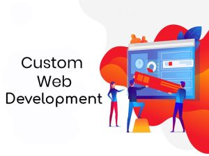 custom web development services