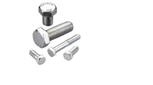 Stainless Steel Hex Bolt