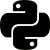 python development services