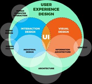 UI and UX Development Services