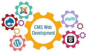 CMS Website Development