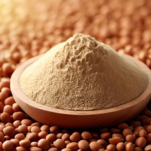 Lentils Protein Concentrate