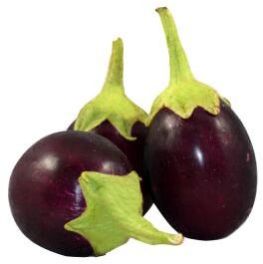 Fresh Brinjal