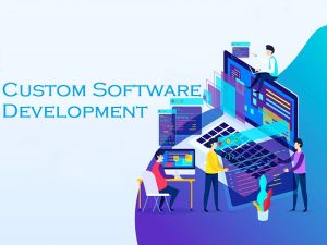 Software Development Services