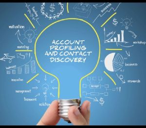 Account Profiling Services
