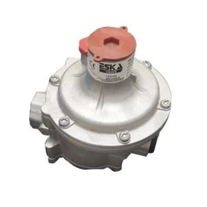 Gas Pressure Regulator