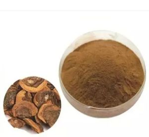 Artichoke Extract Powder