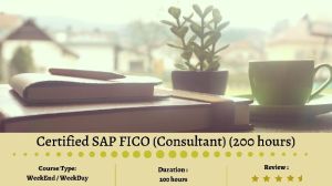 Certified SAP FICO (Consultant)