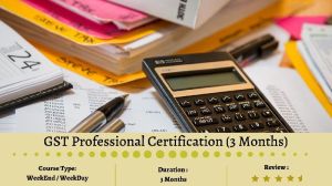 GST Professional Certification